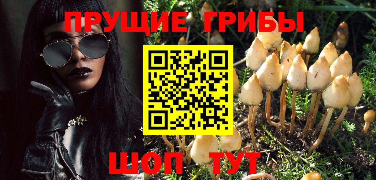 Галлюциногенные грибы GOLDEN TEACHER  Вход с VPN  Псилоцибиновые грибы MAGIC MUSHROOMS  купить наркотик  Белогорск 